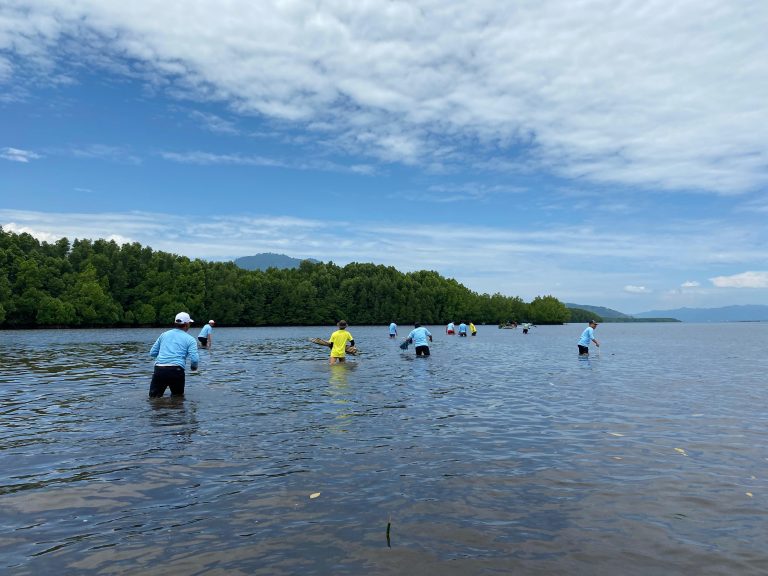 forto mangrove